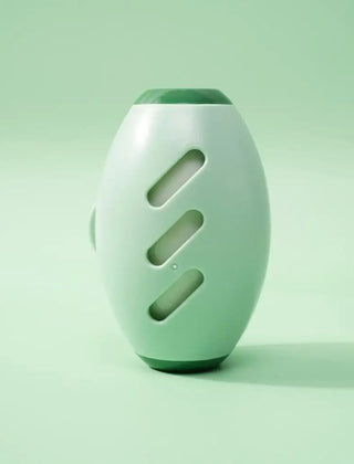 Green reusable lint remover